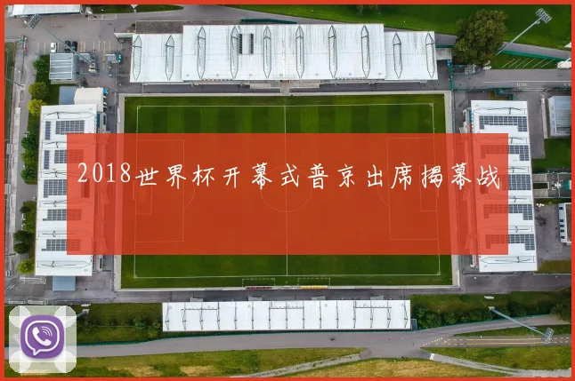 2018世界杯开幕式普京出席揭幕战