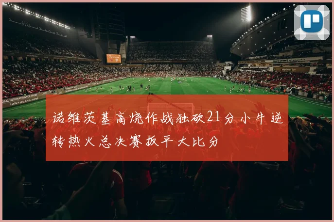 诺维茨基高烧作战独砍21分小牛逆转热火总决赛扳平大比分